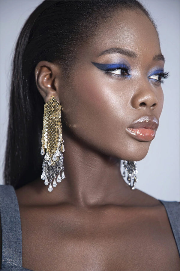 Silver & Gold Earrings