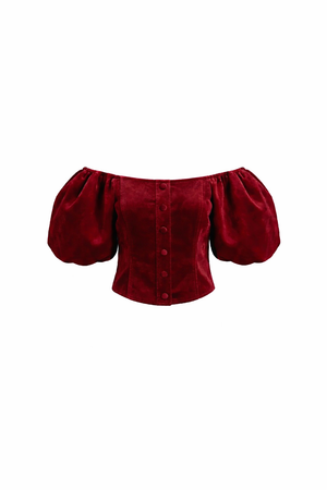 Puffy Sleeves Velvet Top
