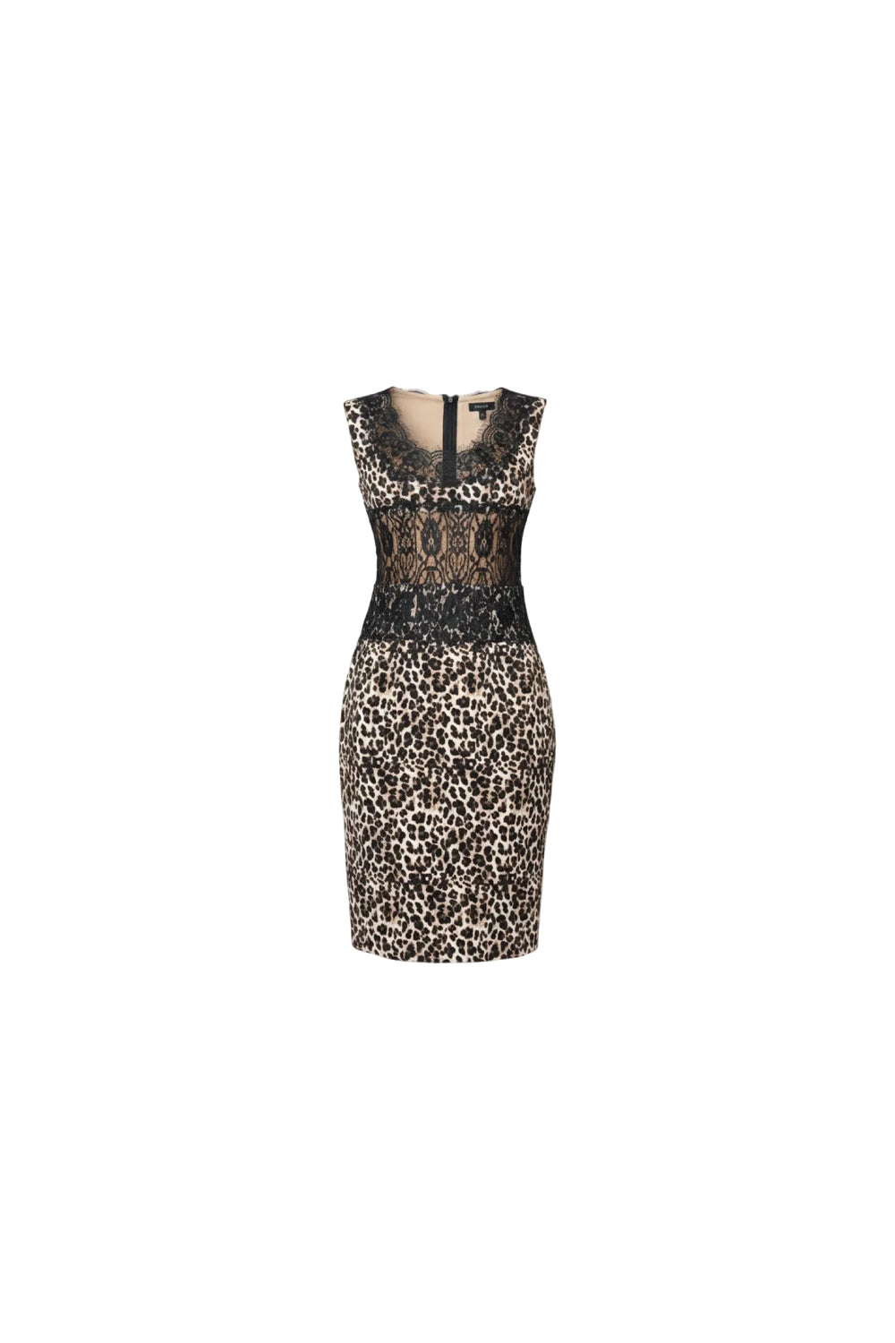 Lace & Leopard Elegance