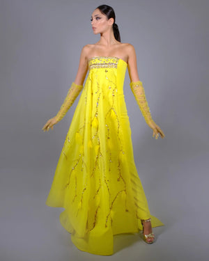 Yellow Tulip