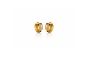 Rainbow Enamel Huggie Hoops