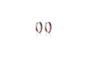 Rainbow spectrum Huggie Earrings