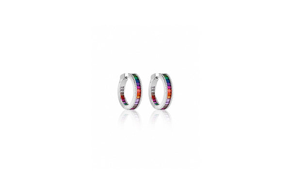 Rainbow spectrum Huggie Earrings