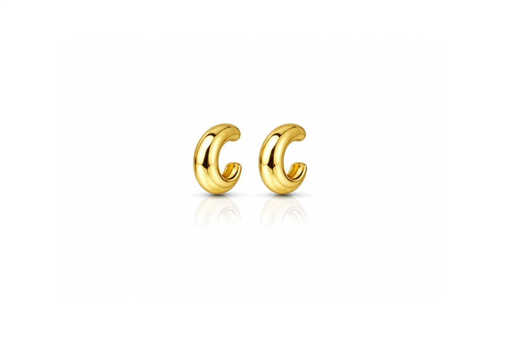 auricle earrings