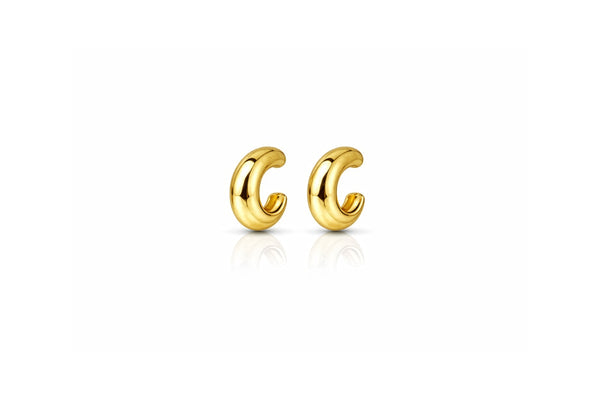 auricle earrings