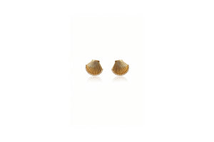 shell fan earrings