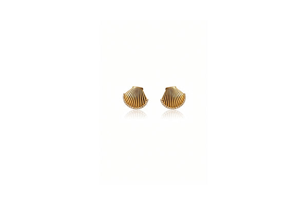 shell fan earrings