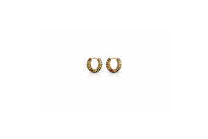 Rainbow Enamel Huggie Hoops