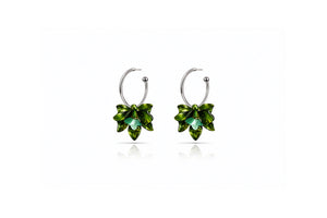 jardin hoops